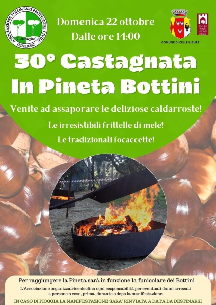 30_castagnata_in_pineta_bottini